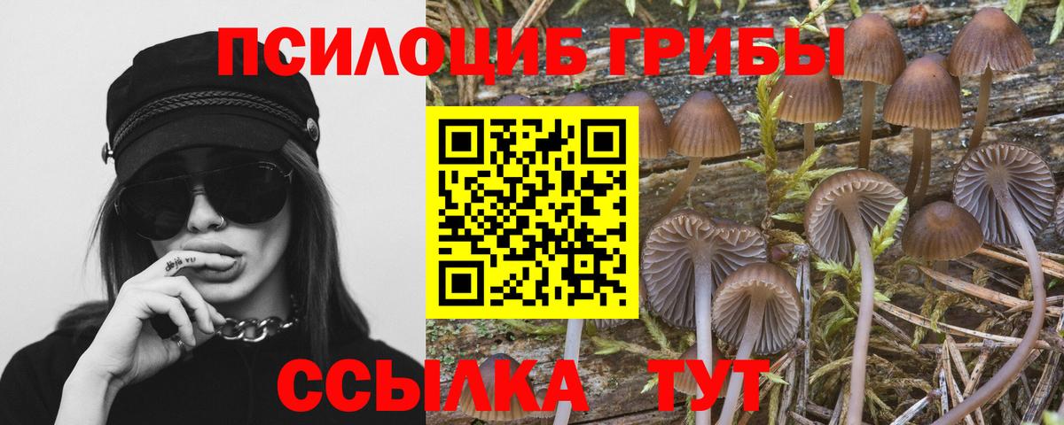 Междуреченск  Псилоцибиновые грибы Psilocybine cubensis  Вход с VPN  Псилоцибиновые грибы мухоморы 