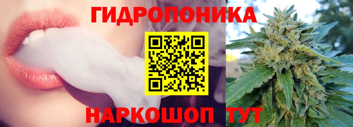 Марихуана сатива Междуреченск